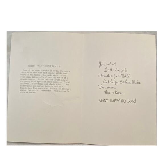 Lot 4 Vtg MCM Birthday Card USA 1970s Embossed Ornithologist Bird Winged Classic - Picture 5 of 16